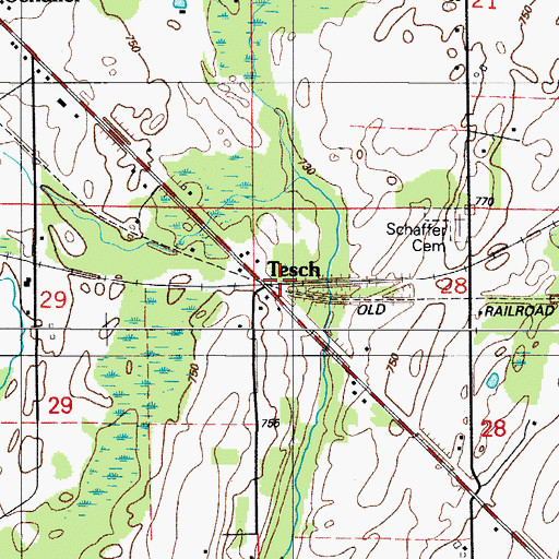 Topographic Map of Tesch, MI