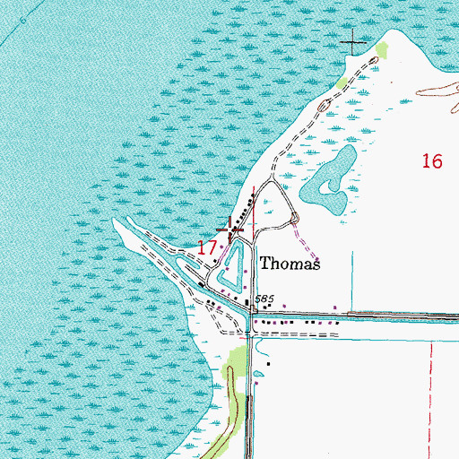 Topographic Map of Thomas, MI