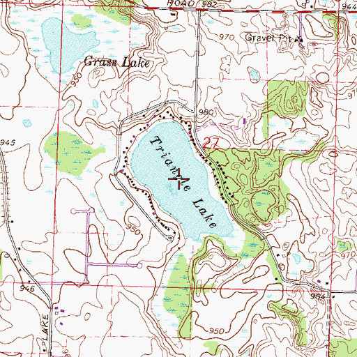 Topographic Map of Triangle Lake, MI
