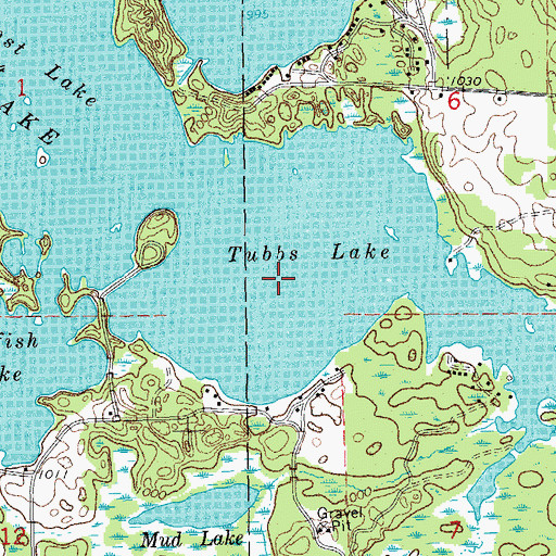 Topographic Map of Tubbs Lake, MI