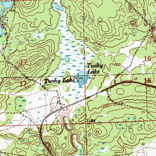 Topographic Map of Tuohy Lake, MI