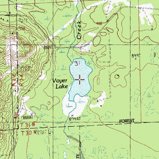 Topographic Map of Voyer Lake, MI