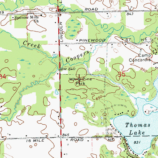 Topographic Map of White Pine Park, MI
