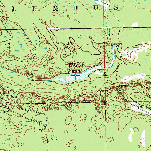 Topographic Map of Whorl Pond, MI