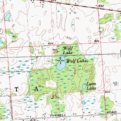 Topographic Map of Wolf Lake, MI