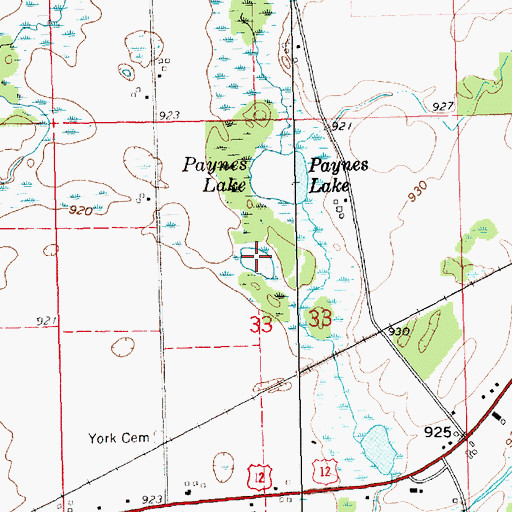 Topographic Map of Bassett Lake, MI