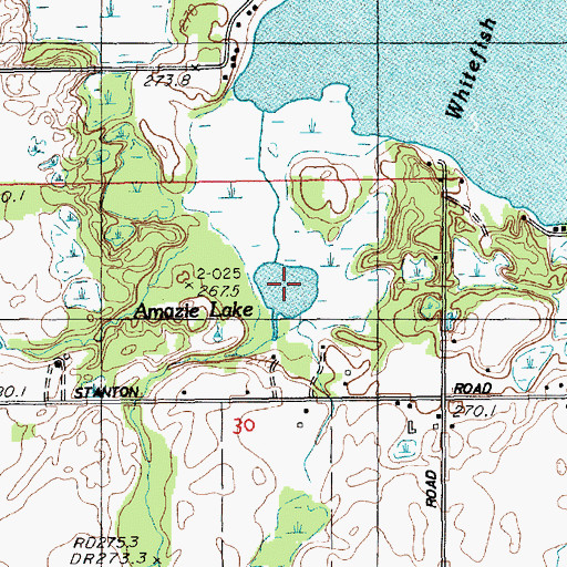 Topographic Map of Amazie Lake, MI
