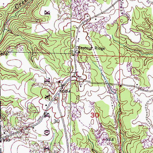 Topographic Map of Chesnut Ridge, AL