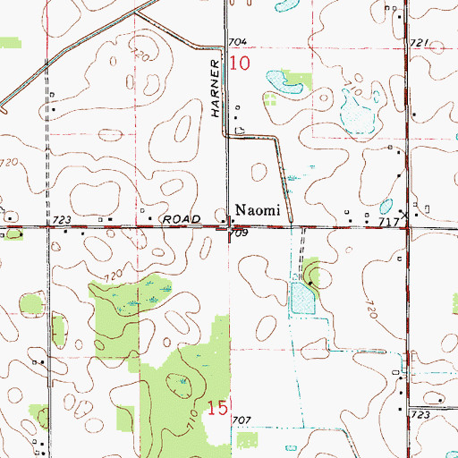 Topographic Map of Naomi, MI