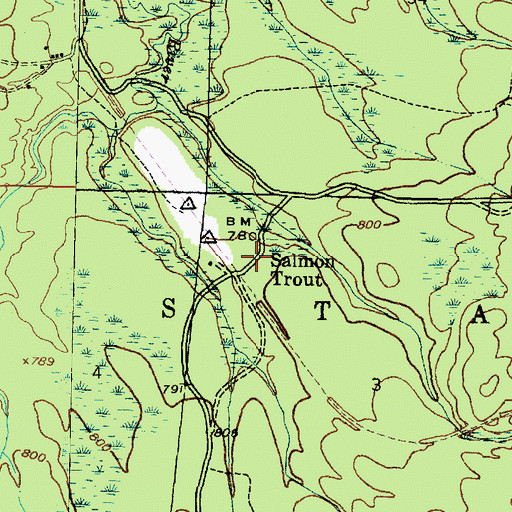 Topographic Map of Salmon Trout, MI