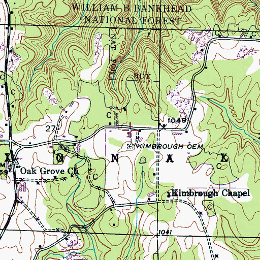 Topographic Map of Pine Chapel, AL