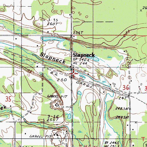 Topographic Map of Slapneck, MI