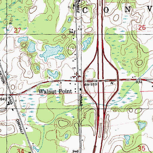 Topographic Map of Walnut Point, MI