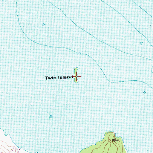 Topographic Map of Twin Island, MI