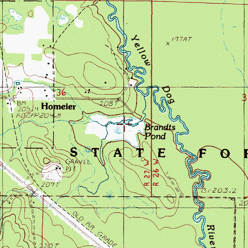Topographic Map of Brandts Pond, MI