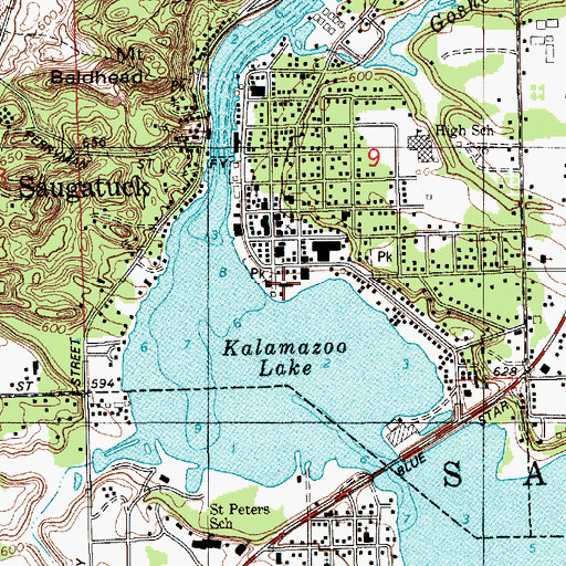 Topographic Map of Singapore Yacht Club, MI
