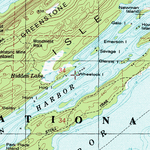 Topographic Map of Wheelock Island, MI