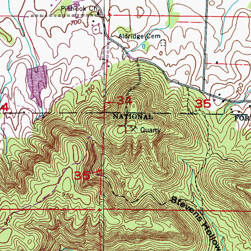 Topographic Map of Pinhook Mountain, AL
