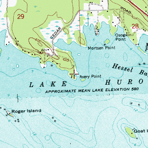 Topographic Map of Avery Point, MI