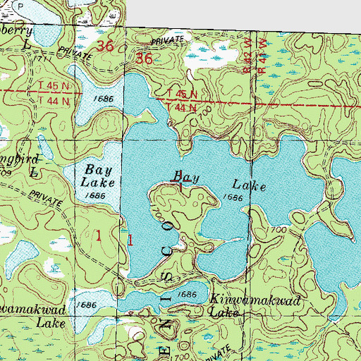 Topographic Map of Bay Lake, MI