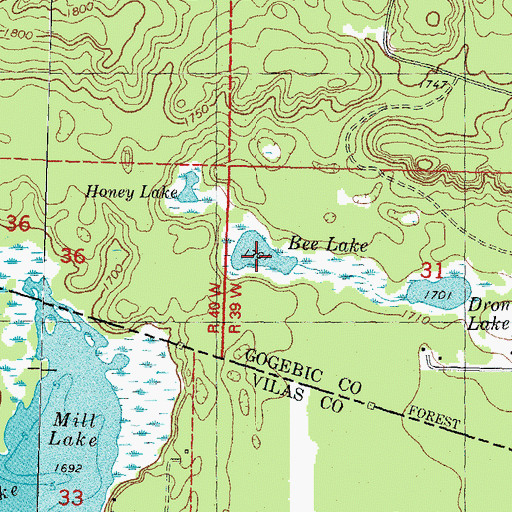 Topographic Map of Bee Lake, MI