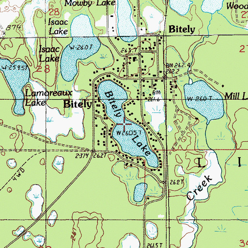 Topographic Map of Bitely Lake, MI