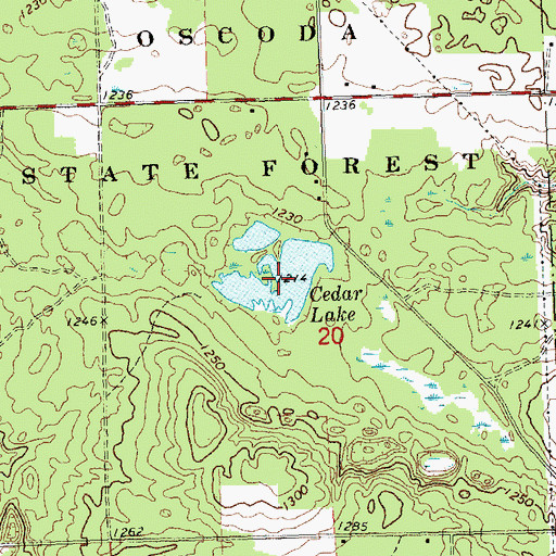 Topographic Map of Cedar Lake, MI