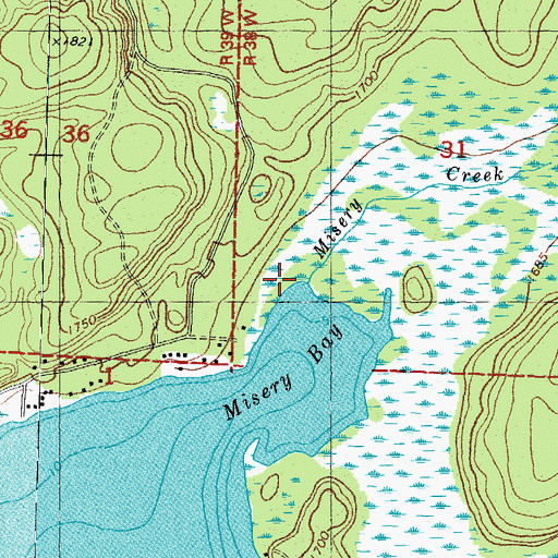 Topographic Map of Misery Creek, MI