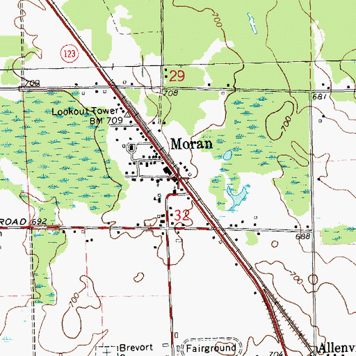 Topographic Map of Moran, MI