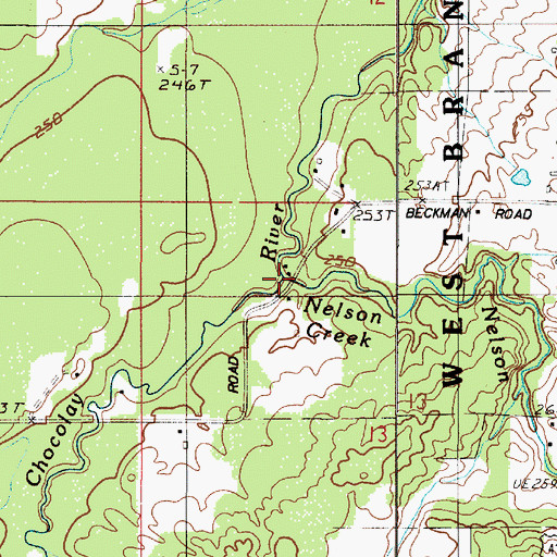 Topographic Map of Nelson Creek, MI