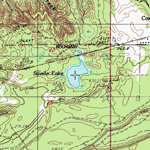 Topographic Map of Swede Lake, MI