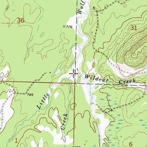 Topographic Map of Wildcat Creek, MI