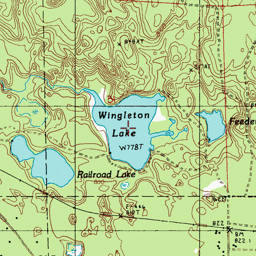 Topographic Map of Wingleton Lake, MI