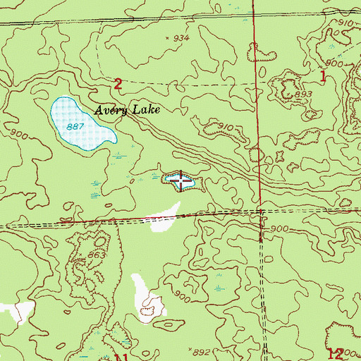 Topographic Map of Little Avery Lake, MI