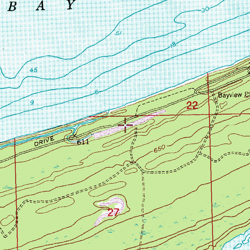 Topographic Map of Bayou Pond, MI