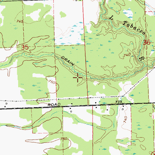 Topographic Map of Gladwin County, MI