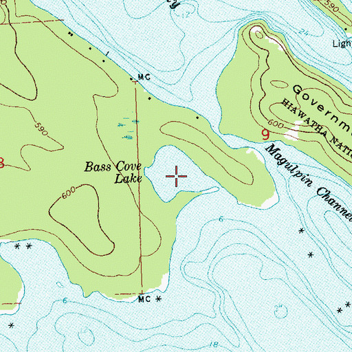 Topographic Map of Bass Cove Lake, MI