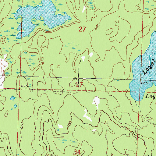 Topographic Map of Drummond Island, MI