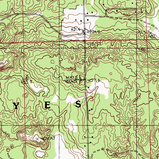 Topographic Map of Hayes Lookout Tower, MI
