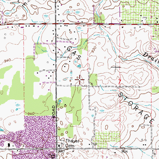 Topographic Map of Northville Gas Storage Field, MI