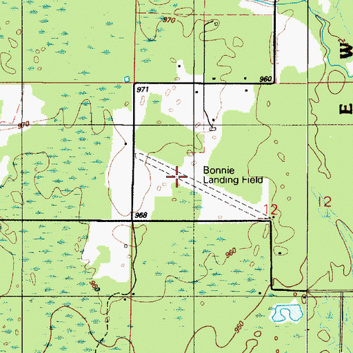 Topographic Map of Bonnie Field Airport (historical), MI