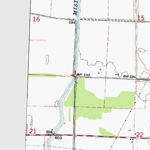 Topographic Map of Township of Albee, MI