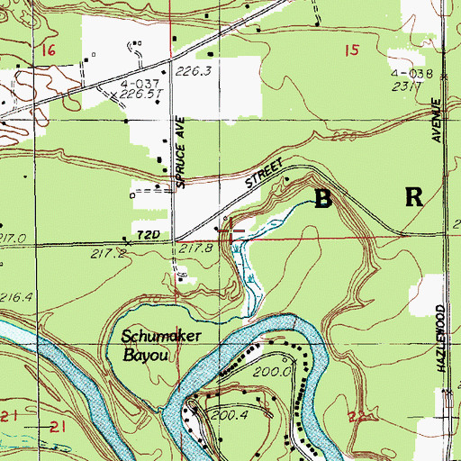 Topographic Map of Township of Brooks, MI