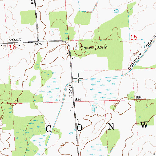 Topographic Map of Township of Conway, MI
