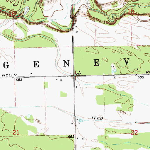 Topographic Map of Township of Geneva, MI
