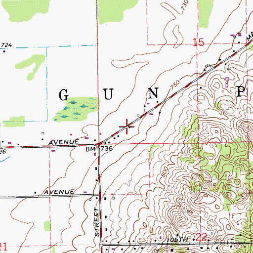 Topographic Map of Township of Gun Plain, MI
