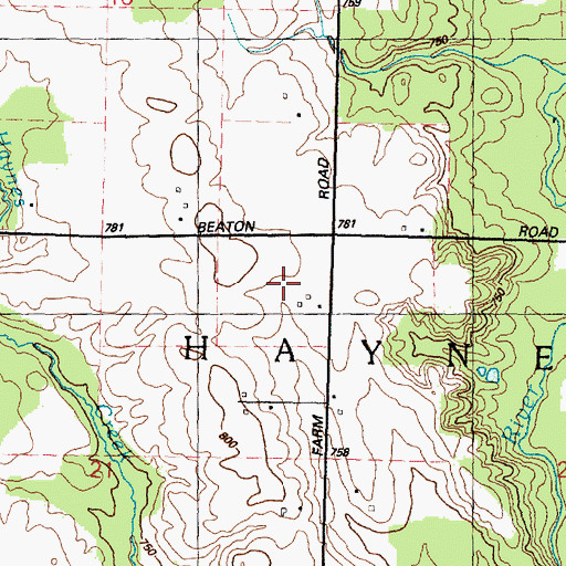 Topographic Map of Township of Haynes, MI
