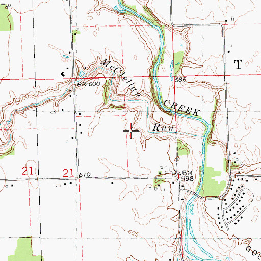 Topographic Map of Township of Thomas, MI