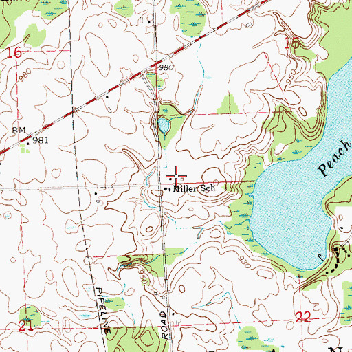 Topographic Map of Township of West Branch, MI
