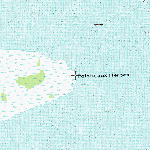 Topographic Map of Pointe aux Herbes, LA